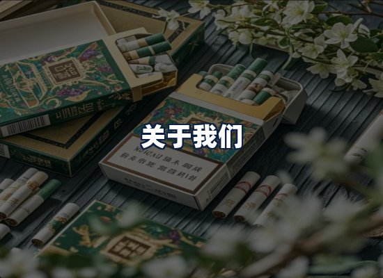 关于我们